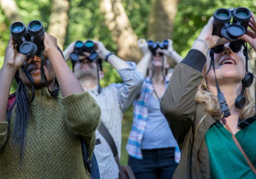 Binoculars
